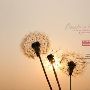 Meet your Posher, Chung